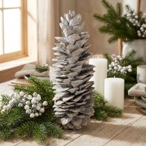 Artikel Zuckerkieferzapfen Weißgewaschen 20cm - 30cm