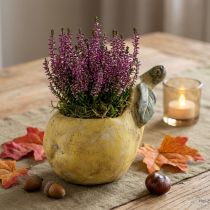 Artikel Deko Birne Beton Übertopf Herbstdeko 19×12,5×15,5cm