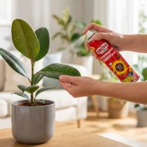 Artikel Celaflor Schädlingsfrei Careo Spray Zierpflanzen 400ml