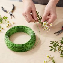 Artikel Aluminiumdraht Ø2mm Maigrün 60m 500g Dekodraht Schmuckdraht Basteldraht