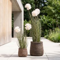 Artikel Kunstblumen Deko Kugelblume Allium Zierlauch künstlich 54cm