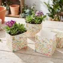 Artikel Geschenktüte Pflanztasche Präsentbeutel Gemustert 10,5cm 8 St