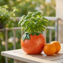Artikel Mediterrane Deko Orange Vase Blumentopf Keramik Ø9cm