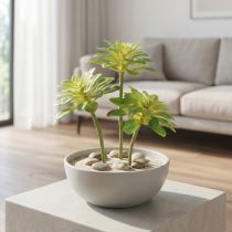 Artikel Sukkulente Kunstpflanze mit Pick Aeonium Grün 30cm 4 St