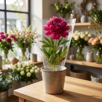 Artikel Verpackungstrichter A Blumentüten Folie B25cm H25cm 50 St