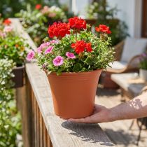 Artikel Topf „Irys“ Plastik Terrakotta Ø25cm H21cm, 1 St