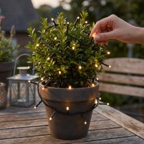 Artikel LED Lichterkette 144er Schwarz, Warmweiß für Außen 1,2m