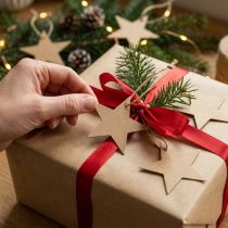 Artikel Geschenkanhänger Weihnachten Braun Stern Papier Ø5,5cm 100St