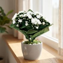 Artikel Kalanchoe künstlich Flammendes Käthchen Weiß 24cm