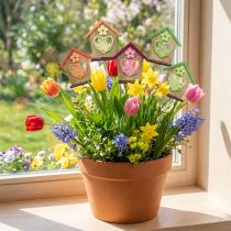 Artikel Blumenstecker Frühling Haus Schmetterling Blume 8,5cm 12 St