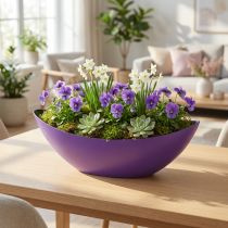 Artikel Pflanzschiffchen Dekoschale Schale Violett 38,5cm×12,5cm×13cm