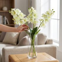 Artikel Orchidee Hellgrün 56cm 6St