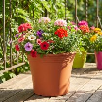 Artikel Topf „Irys“ Plastik Terrakotta Ø33cm H27,5cm 1 St