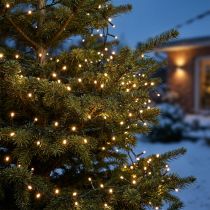 Artikel LED Reislichterkette 350er Grün, Warmweiß für Außen 7,5m