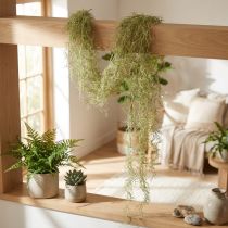 Artikel Tillandsie Deko Hänger Tillandsia künstlich Grün Weiß 180cm