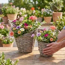 Artikel Blumentopf Pflanzkorb Weide Natur Ø12,5cm/20cm 2er-Set Deko Vintage rustikal