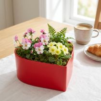 Artikel Romantisches Pflanzherz Pflanzschale Herz Rot 15×15×7cm 3St