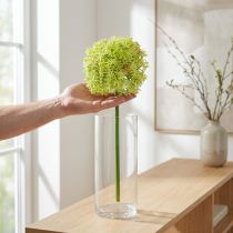 Artikel Allium grüne Blüte Künstlicher Zierlauch Ø18cm 90cm