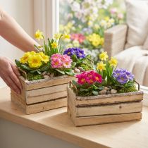 Artikel Pflanzkasten Holz Rinde Natur Griff L29cm/23cm Set 2St