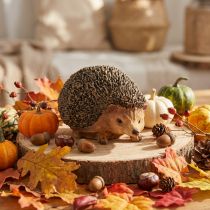 Artikel Igel Deko Figur Herbst Handbemalt Braun 14×9,5×9cm