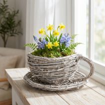 Artikel Teetasse Naturmaterial mit rustikalem Charme für exklusive Indoor Dekoration 13cm