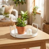 Artikel Pflanzschale Tablett für vielseitige Verwendung im Haus und Garten 18cm