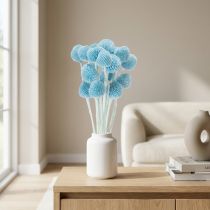 Artikel Craspedia Trockenblumen Deko für Vase minimalistischer Stil Haltbare Sommerdeko 55cm 20St