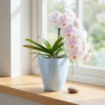 Artikel Orchideentopf glänzend Ø12,5cm Weiß 1 St