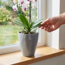 Artikel Orchideentopf glänzend Ø12,5cm Grau 1 St