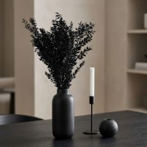 Artikel Ruscus Zweige Dekozweige Trockenblumen Schwarz – 2. Wahl – 200g
