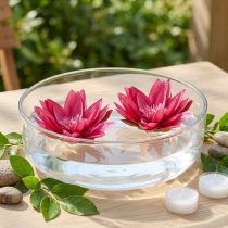 Artikel Schwimmende Seerose künstlich Tischdeko Fuchsia Ø15cm 2St