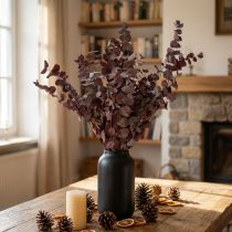 Artikel Eukalyptuszweige Eukalyptus konserviert Trockenblumen Rot 75cm 150g