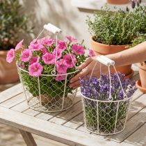 Artikel Dekokörbchen Draht als dekorative Lösung für kreative Gartengestaltung 30cm 1Set