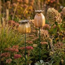 Artikel Garten Stecker Mohnkapsel für stilvolle Gartengestaltung Blumenbeet oder Balkon 60cm 2St