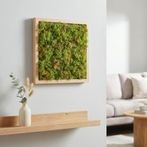 Artikel Moos künstlich Moosmatte – Perfekt für Moosbild Hellgrün 25×25cm
