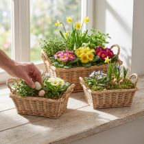 Artikel Pflanzkorb Korb rechteckig Weide Natur 39/33/27cm 3er-Set