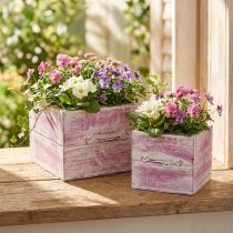 Artikel Pflanzschublade mit Griff Rosa Weiß Holz 12/15cm 2er-Set
