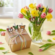 Artikel Dekoklammer Schmetterling, Geschenkdeko, Frühling, Schmetterlinge aus Holz 6St