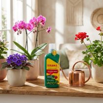 Artikel Seramis ® Vitalnahrung für Blühpflanzen 500ml