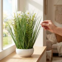 Artikel Deko Gras mit Cosmea-Blüten in Schale H45cm