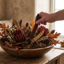 Artikel Scalettaschote Natur 25cm - 50cm 25 St