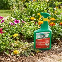 Artikel Roundup Express Unkrautfrei Herbizid Pflanzenschutz Spray Ohne Glyphosat 1L