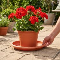 Artikel Untersetzer „Linda" Ø37cm Terrakotta
