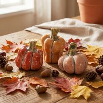 Artikel Kürbis im Set Kleine Deko Kürbisse für Herbstdekoration 5cm 3St