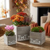 Artikel Holzwürfel mit Pilzen, Herbstdeko, Pflanzkiste 20/16/12cm 3er-Set