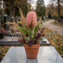 Artikel Kunstblume Banksia Rosa Herbstdeko Gedenkfloristik 64cm