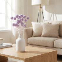 Artikel Craspedia Trockenblumen für moderne Tischdekoration in Ihrem Zuhause 55cm 20St