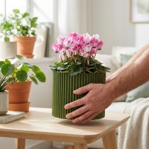 Artikel Übertopf Papier Dunkelgrün Blumentopf Ø19cm H14cm 3 St