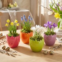 Artikel Mini Blumentopf Osterei Bunte Eier Vasen Pastell 8,5cm 4 St