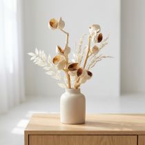Artikel Hakea mittel 5-9 Köpfe pro Zweig gebleicht 25 St